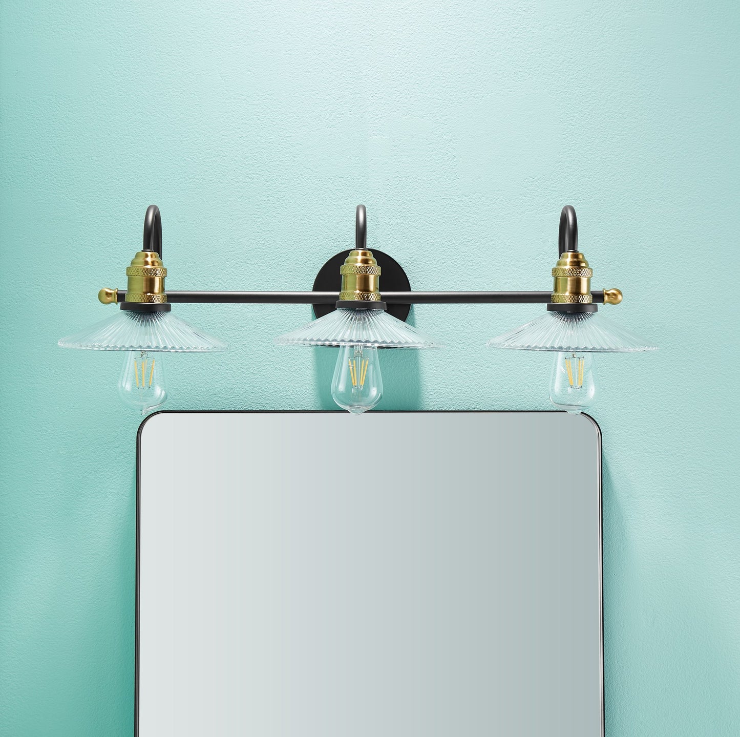 Waterpar® 24-in W x 36-in H Matte Black Alumi Bathroom Mirror with Vanity Light