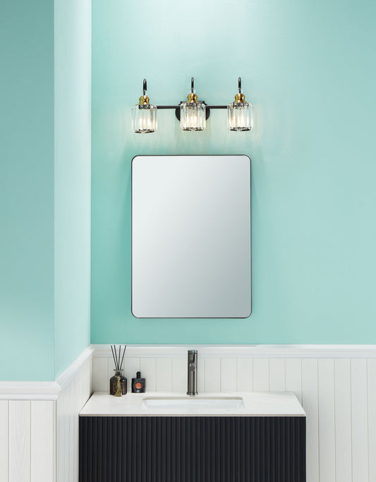Waterpar® 22-in W x 30-in H Matte Black Alumi Bathroom Mirror with Vanity Light