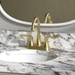Waterpar®  4 in. Centerset Double Handle High Arc Bathroom Faucet with Pop-up Drain and ‎Supply Hoses