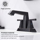 Waterpar®  4 in. Centerset Double Handle Bathroom Faucet with Pop-up Drain and ‎Supply Hoses