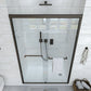 Waterpar® 56-60 in. W x 72 in. H Sliding Semi-Frameless Shower Door with Double Towel Bars