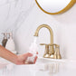 Waterpar®  4 in. Centerset Double Handle High Arc Bathroom Faucet