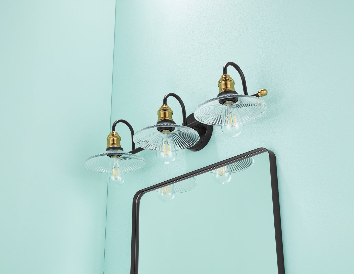 Waterpar® 24-in W x 36-in H Matte Black Alumi Bathroom Mirror with Vanity Light