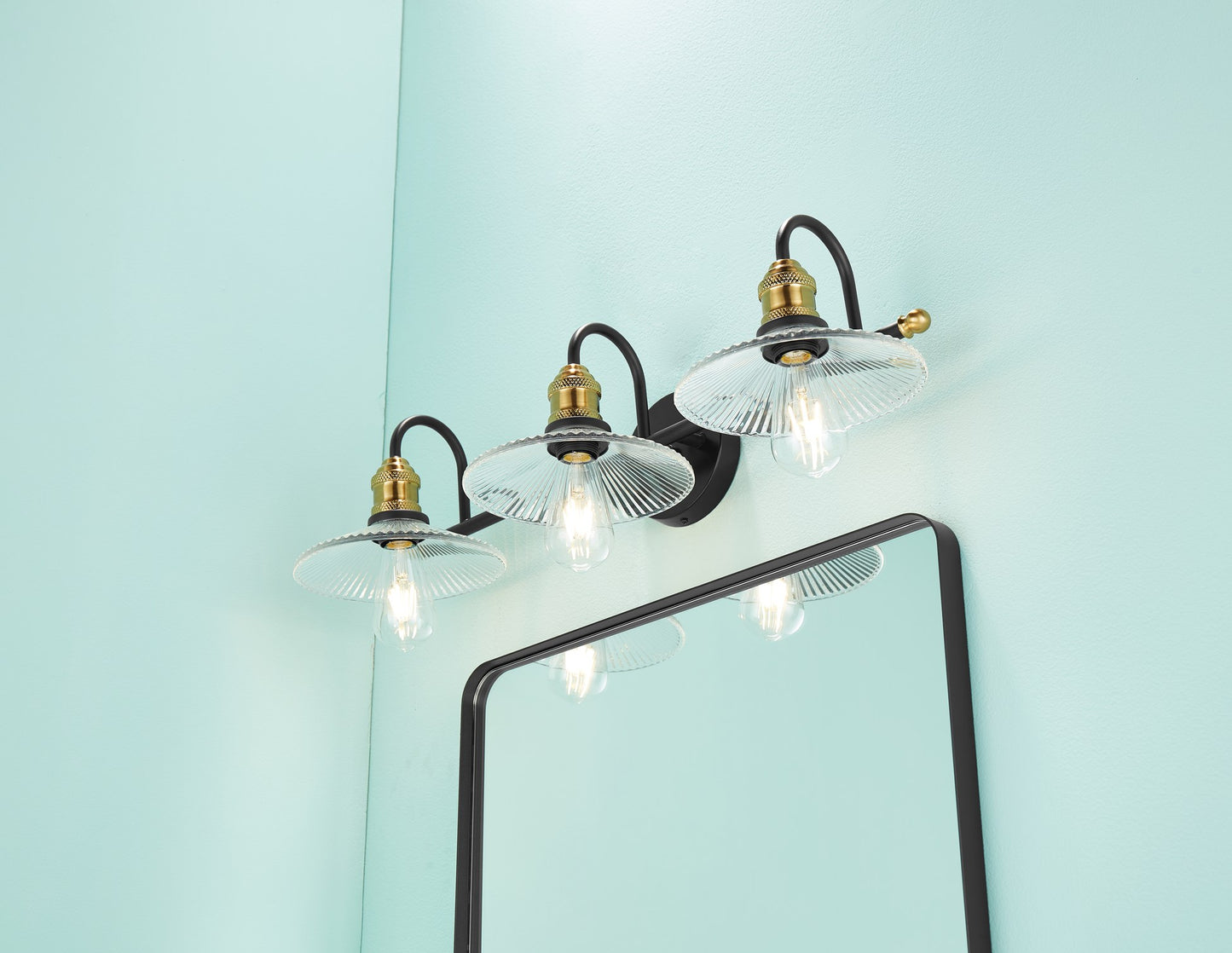 Waterpar® 24-in W x 36-in H Matte Black Alumi Bathroom Mirror with Vanity Light