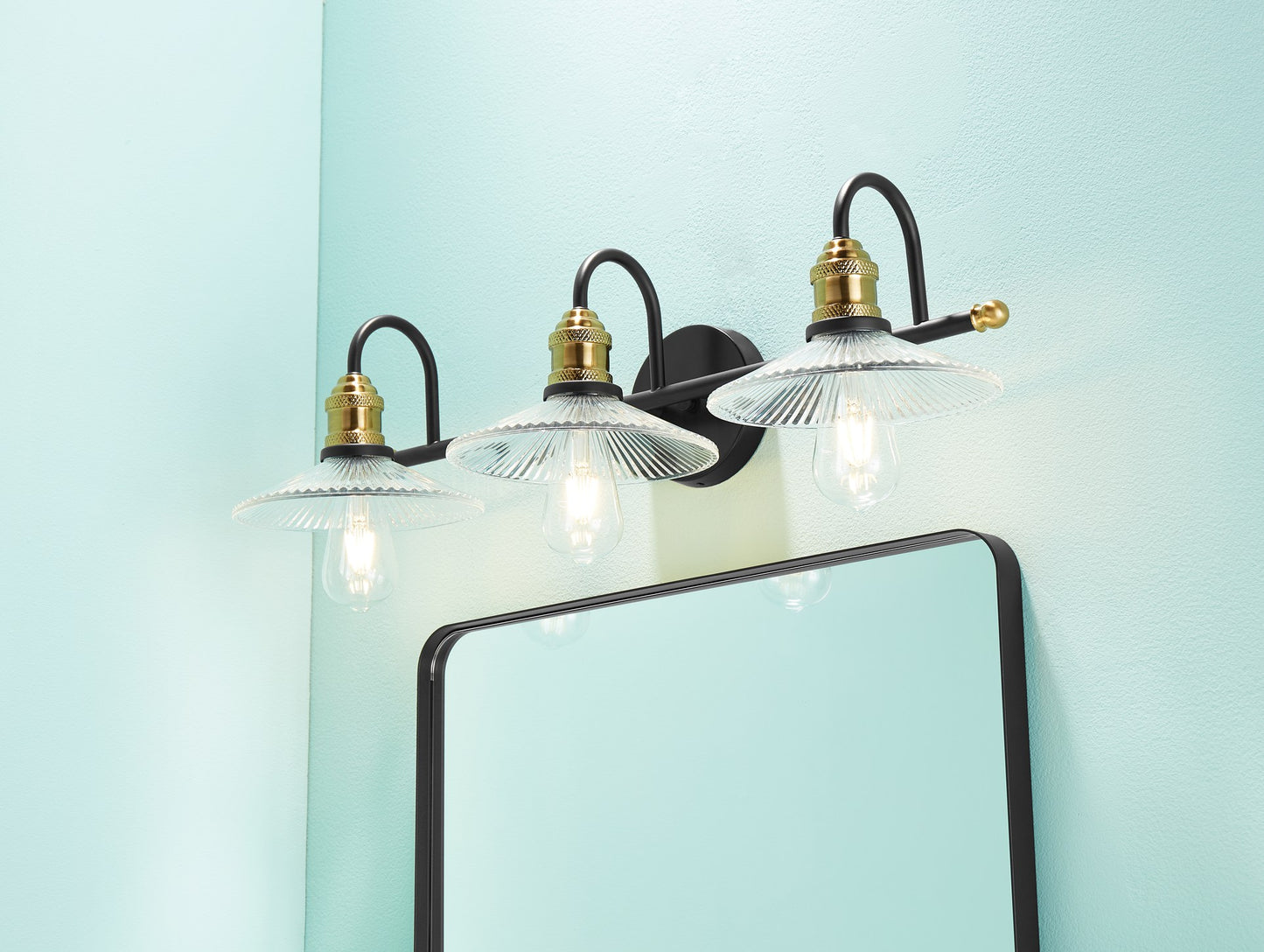 Waterpar® 24-in W x 36-in H Matte Black Alumi Bathroom Mirror with Vanity Light